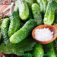 Кисели краставички - (повече от 10 рецепти) със снимки на (краставици) Кисели краставички - (повече от 10 рецепти) със снимки на
