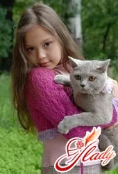 Котки и новородени