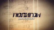 Котки - документален филм онлайн