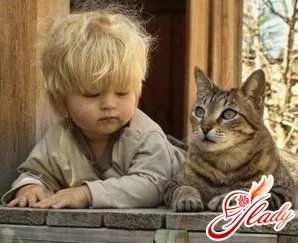 Котки и новородени