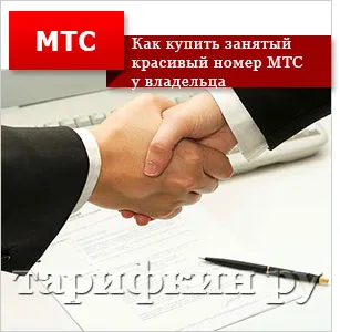Красиви стаи метра - как да изберете и да закупите
