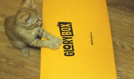 Щастието Box glorybox - най-добрият подарък за вашия домашен любимец