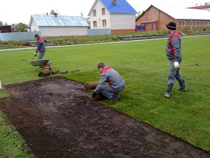 Една красива морава в къщичката, озеленяване задния двор или крайградски район, дизайнът на цветни лехи