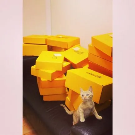Щастието Box glorybox - най-добрият подарък за вашия домашен любимец
