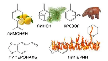 Стръмните чушки ~ aromahimiya