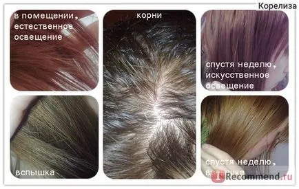 за боядисване на коса Фитокозметика Басма Иран - 