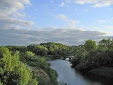Курган област (България)