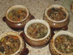 Пиле с гъби в гърне