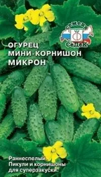 Най-добрите сортове краставици преглед на нови сортове и хибриди на краставица