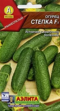 Най-добрите сортове краставици преглед на нови сортове и хибриди на краставица