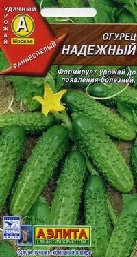 Най-добрите сортове краставици преглед на нови сортове и хибриди на краставица