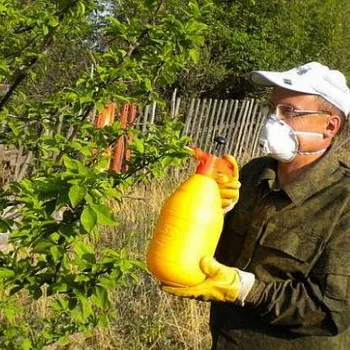 Събития за плодни и декоративни дървета и храсти се интересуват как да се грижи за