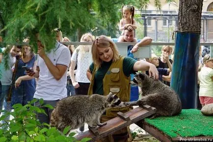 Москва Zoo на барикадите в Москва
