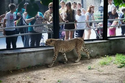 Москва Zoo на барикадите в Москва