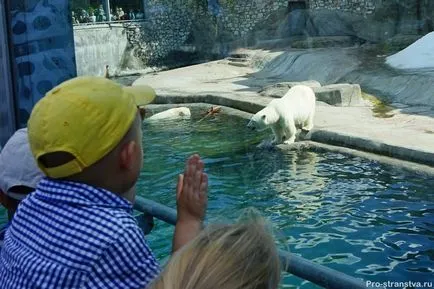 Москва Zoo на барикадите в Москва