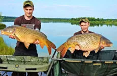 На този улов шаран най-добрата стръв за всички времена (шаран въпрос наваксване) Какво стръв за улов на шаран най-доброто от всички времена