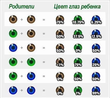 Кой ще бъде като на плода при бременност