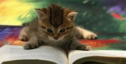 В началото на книгата