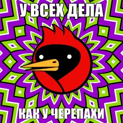 Омск Кроу, Netlore съвети куче, Хайко Мюлер, крилат гибел, vingedum, Омск, Омск Кроу, Омск