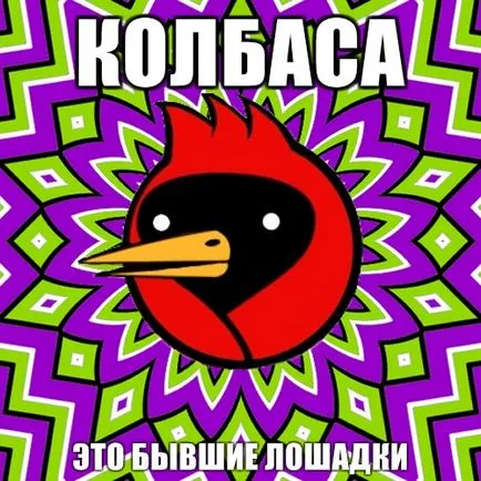 Омск Кроу, Netlore съвети куче, Хайко Мюлер, крилат гибел, vingedum, Омск, Омск Кроу, Омск