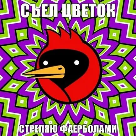 Омск птица, че ако