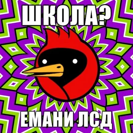 Омск Кроу, Netlore съвети куче, Хайко Мюлер, крилат гибел, vingedum, Омск, Омск Кроу, Омск