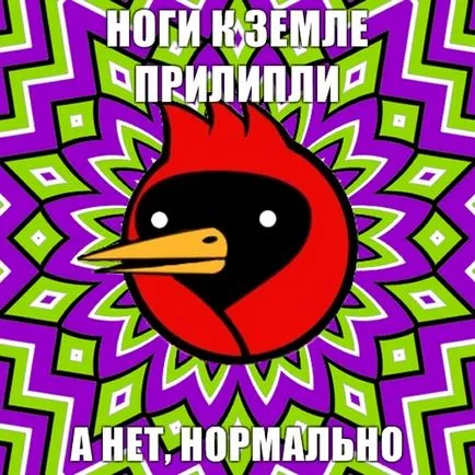 Омск Кроу, Netlore съвети куче, Хайко Мюлер, крилат гибел, vingedum, Омск, Омск Кроу, Омск