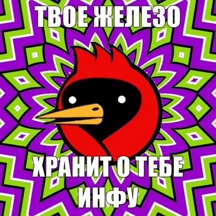 Омск Кроу, Netlore съвети куче, Хайко Мюлер, крилат гибел, vingedum, Омск, Омск Кроу, Омск