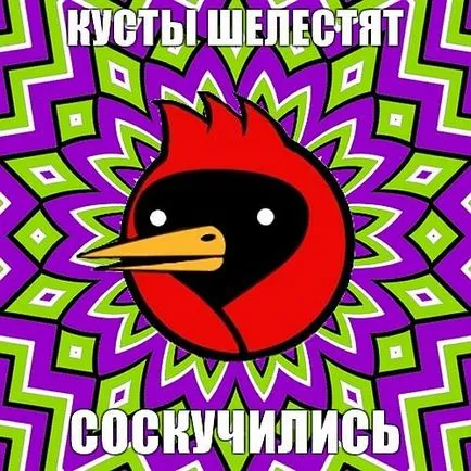 Омск птица, че ако