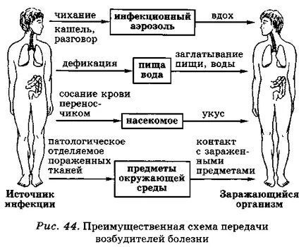 Основни инфекциозни заболявания (горни дихателни пътища) Основни инфекциозни заболявания