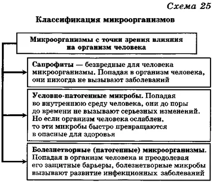 Основни инфекциозни заболявания (горни дихателни пътища) Основни инфекциозни заболявания