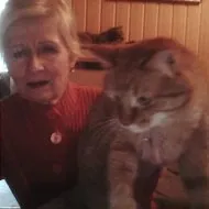 За това как котки умират