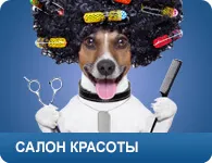 Улавяне на домашните и диви животни