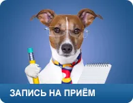 Улавяне на домашните и диви животни