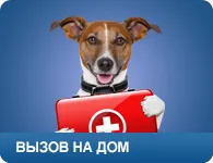 Улавяне на домашните и диви животни