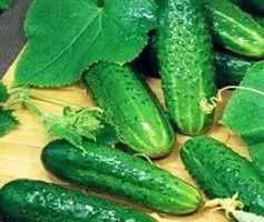 Parthenocarpic сортове краставици - това е, обичам моята градина