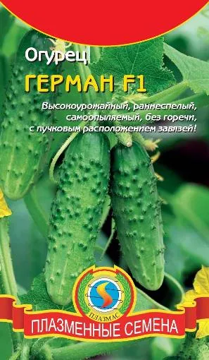 Parthenocarpic сортове краставици - това е, обичам моята градина