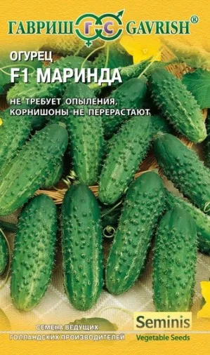 Parthenocarpic сортове краставици - това е, обичам моята градина