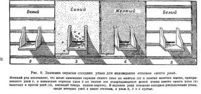 Павилион за пчели - правя с ръцете си правилно