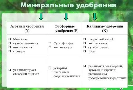 Божури, божури, за да цъфтят дресинг, моята градина - летни съвети
