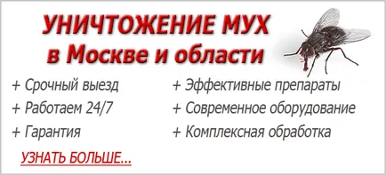 Защо лети ухапване през есента и опасно, отколкото техните ухапвания