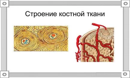 Защо боли от всички кости и стави причини, симптоми, какво да правят (симптомите) Защо боли от всички кости и стави причини, симптоми, какво да правя