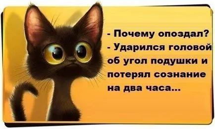 Защо хората са късно, късно, успешни хора, Франк Pucelik