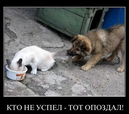 Защо хората са късно, късно, успешни хора, Франк Pucelik