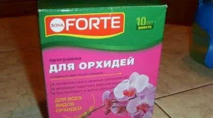Торене орхидеи в дома по време на цъфтежа и почивка