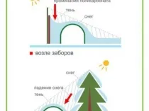 Примери за това как да се създаде парникови до кардиналните, снимки и диаграми, съвети, където не трябва да има