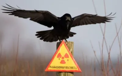 Радиация и нейните ефекти върху човешкото излъчване допустимата норма