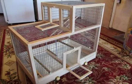 Bird скатия съдържание пойна птица в плен