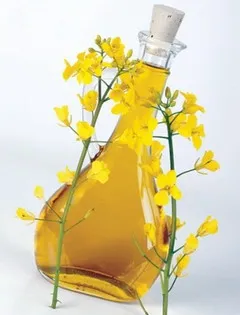 рапично масло