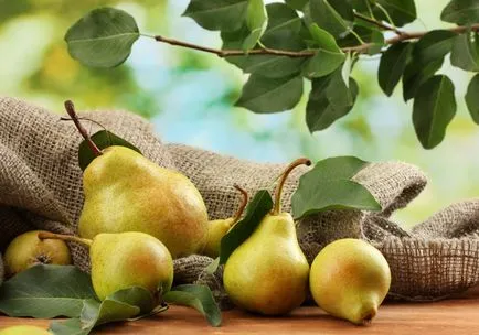 Рецепти от круши какво да се готви круши, вкусни ястия с круша